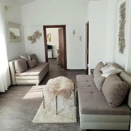 Grey Pearl With Free Ev Ch-station