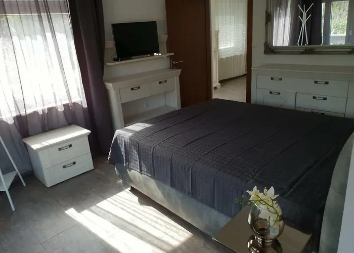 Grey Pearl With Free Ev Ch-station *